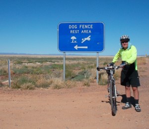 Lots of dingos about